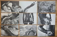 ** Lot of 9 Cards, Male Nude, Joseph Caprio, Curious, Erotic, Pin Up picture