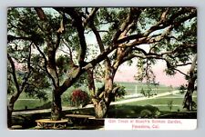 Pasadena CA-California, Oak Trees At Busch's Sunken Garden, Vintage Postcard picture