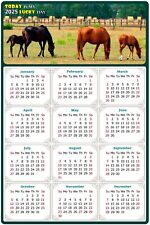2025 Magnetic Calendar - Today is My Lucky Day - Horses Themed 010 (7 x 10.5) picture