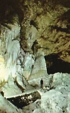 Postcard NM Carlsbad Caverns National Park Rock of Ages 1955 Vintage PC J158 picture