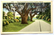 Moss Covered Oaks on U.S. Highway #301 in Dixieland Vintage Linen Postcard picture