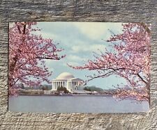 VTG Chrome Jefferson Memorial Cherry Blossoms West Potomac Park ~Washington D.C. picture