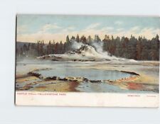 Postcard Castle Well Yellowstone Park USA picture