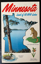 Vintage Postcard 1960's Minnesota, Land of 1000 Lakes picture