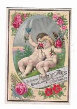1881 Trade Card Murray & Lanman's Florida Water Perfume Naked Babies Waterfall picture
