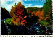 Postcard Traveler's Paradise Road Nature Landscape Trees Plants River USA picture