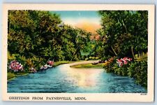 Paynesville Minnesota MN Postcard Greetings Scenic View River Trees Flowers 1940 picture