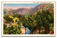 View Of Palm Canyon, California Postcard picture