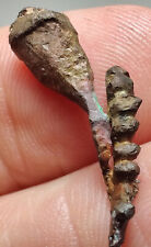 Native Copper specimen. Keweenaw, Michigan. 2.2 cm. Video. picture