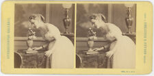 Loescher & Petsch Stereo circa 1875. Woman and Flowers. picture
