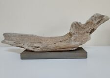 Authentic Real Driftwood Attached to Wood Base Display Natural Art picture