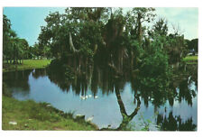 New Port Richey Florida FL Postcard Orange Lake picture