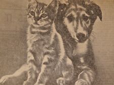 Vintage Newspaper,Advertisement,1963, Calco Cat & Dog Food, 