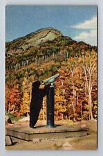 Franconia Notch NH-New Hampshire, Black Bear Ebony, Vintage Souvenir Postcard picture