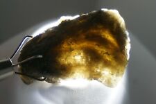 Darwin Glass -- 4g - Austalite - Darwinite - tektite - impactite #win80 picture