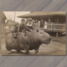 POSTCARD Capybara Kids Riding Old School Vibe Weird Strange Funny Race Giant picture