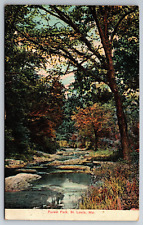 Vintage Postcard MO St Louis Forest Park Stream Woods c1910 -3398 picture