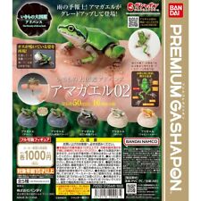 Big Book of Living Things Advance: Tree Frog 02 Total 5 kinds complete BANDAI picture