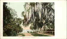 Rockledge Florida FL Indian River 5719 Detroit Publishing c1901 Postcard picture
