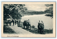 c1930's Riding Elephants River View Kuala Kangsar Perak Malaysia Postcard picture