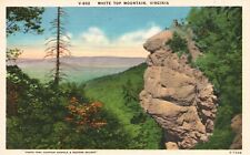 Postcard VA White Top Mountain Virginia Unposted Linen Vintage PC G784 picture