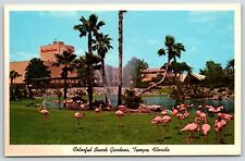 Flamingos in Busch Gardens Budweiser Building Tampa Florida Postcard picture