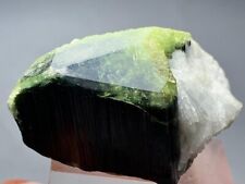 265 carat Natural Green Cap Tourmaline Crystal from Afghanistan picture