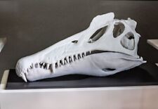 Spinosaurus 3D Printed Dinosaur Skull Replica (8.5in) Paleontogy Museum Quality picture
