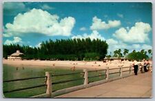 Clearwater Beach Florida Pier Scenic Tropical City Landmarks Chrome Postcard picture