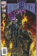 UNDERTAKER #3 ART COVER (VF/NM) WWF WORLD WRESTLING FEDERATION CHAOS COMIC picture