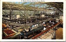 Postcard The Interior of a Modern Orange Packing House, Florida picture