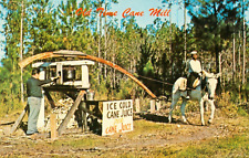 Postcard A215 Old Time Cane Mill Juice Sugar Donkey picture