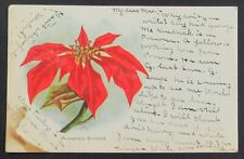 Poinsettia Blossom Christmas Vintage UDB Postcard Posted 1908 picture