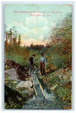 1913 Placer Mining and Discovery of Gold in Black Hills Saegertown PA Postcard picture