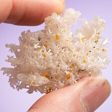 Amazing Cerussite Snowflake Crystal Lustrous Reticulated Formation Ce-12 picture