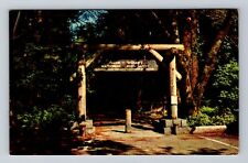 San Francisco CA-California, Gateway Muir Woods Monument Vintage c1964 Postcard picture