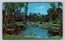 Anaheim CA-California, Water Lily Pond, Antique, Vintage c1955 Souvenir Postcard picture