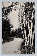 Postcard Crystal Falls MI Roadside Birches Birch Trees picture