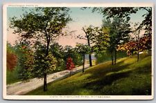 Vista Highland Park Pittsburgh Pennsylvania Country Road Penn PA VNG Postcard picture