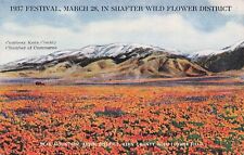 Postcard Vin (1) CA/3/28/1937 Festival/Shafter Wild Flower Dist UP (#973) picture