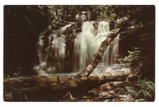 PA Postcard Wyandot Falls Pennsylvania picture