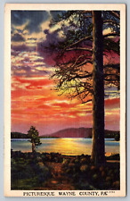 Picturesque Wayne County Pennsylvania Vintage Postcard picture