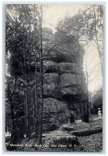 c1910 Mammoth Rock Rock City Near Olean New York NY Antique Unposted Postcard picture