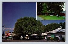 Bishop CA-California, The Elms Motel Advertising, Vintage Souvenir Postcard picture
