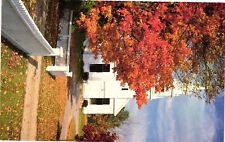 Vintage Postcard- Fall Foliage, Center Sandwich, NH picture
