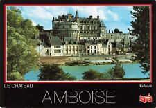 Amboise France, Le Chateau, Charles VIII Palace, Vintage Postcard picture