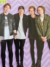 Five Seconds of Summer, 5SOS, Full Page Vintage Pinup picture