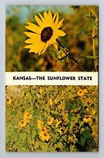 KS-Kansas, Sunflower, State Flower, Antique, Vintage Souvenir Postcard picture