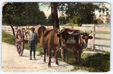 1909 WEST RIVER MARYLAND RAPID TRANSIT BOY WITH OXEN CART GALLOWAYS MD POSTMARK picture