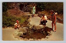 Hot Springs AR-Arkansas, Thermal Water Display Springs Souvenir Vintage Postcard picture